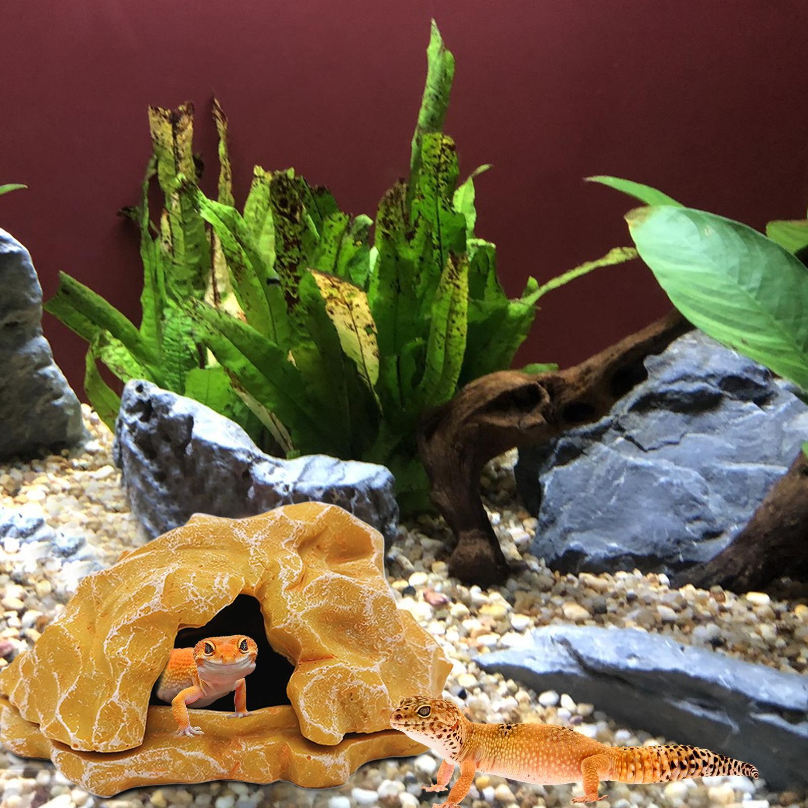 Lizard House Terrarium Resin F - Aquarium Decoration Rock ulasan dan harga