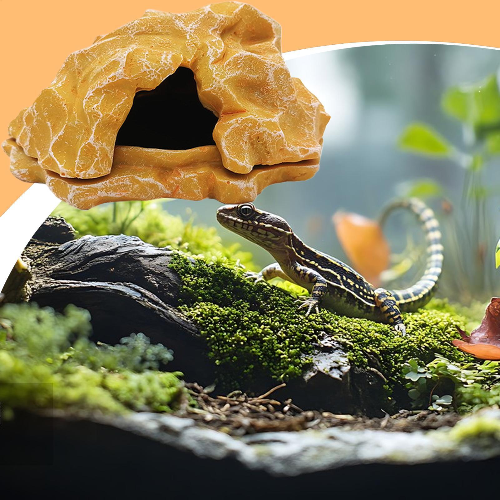 Lizard House Terrarium Resin F - Aquarium Decoration Rock ulasan dan harga