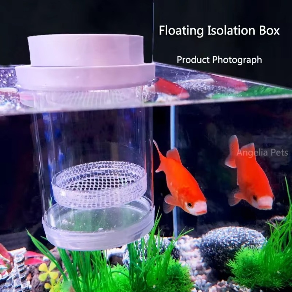 Plastic Floating Fish Breeding - Aquarium Fish Auto Feeder ulasan dan harga