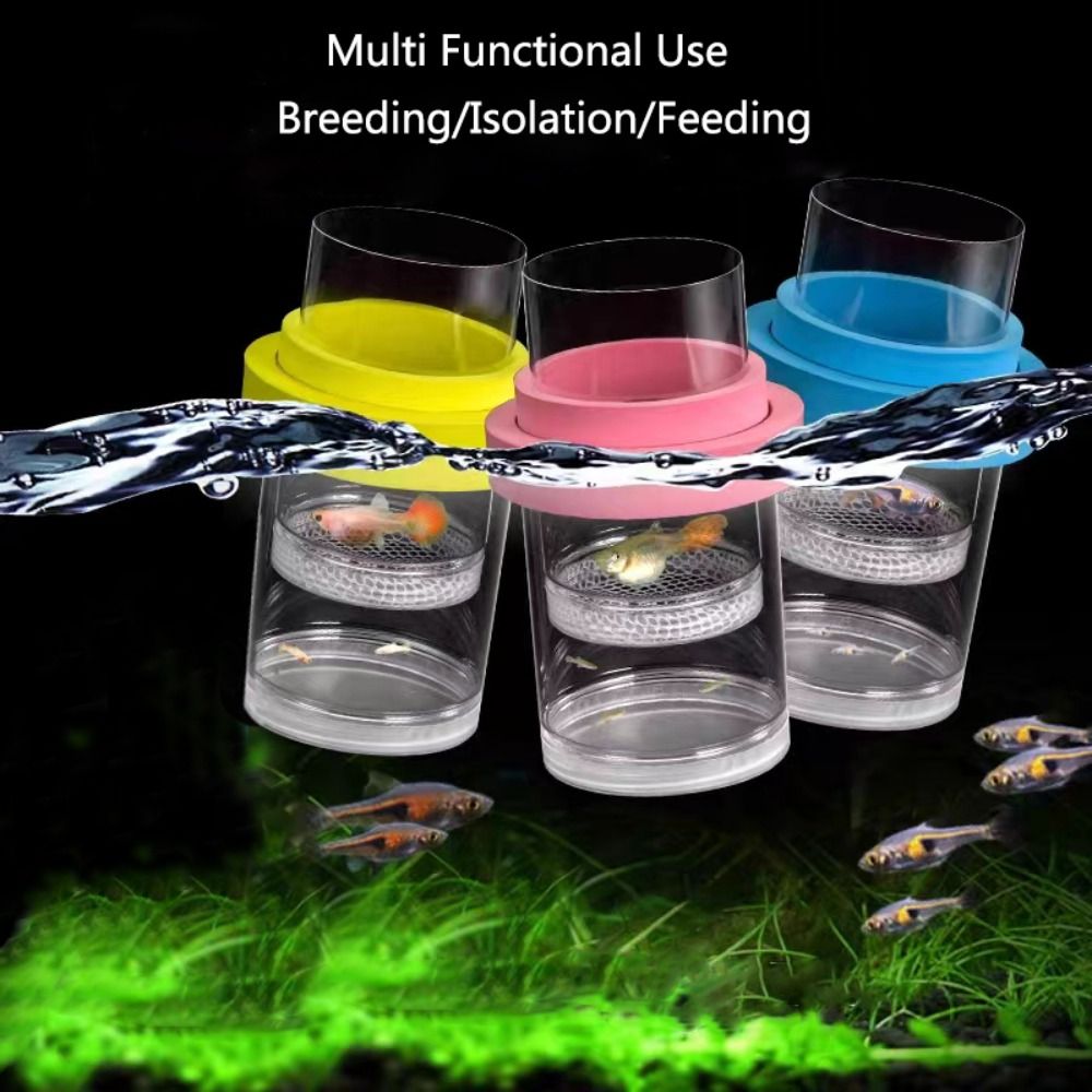 Plastic Floating Fish Breeding - Aquarium Fish Auto Feeder ulasan dan harga