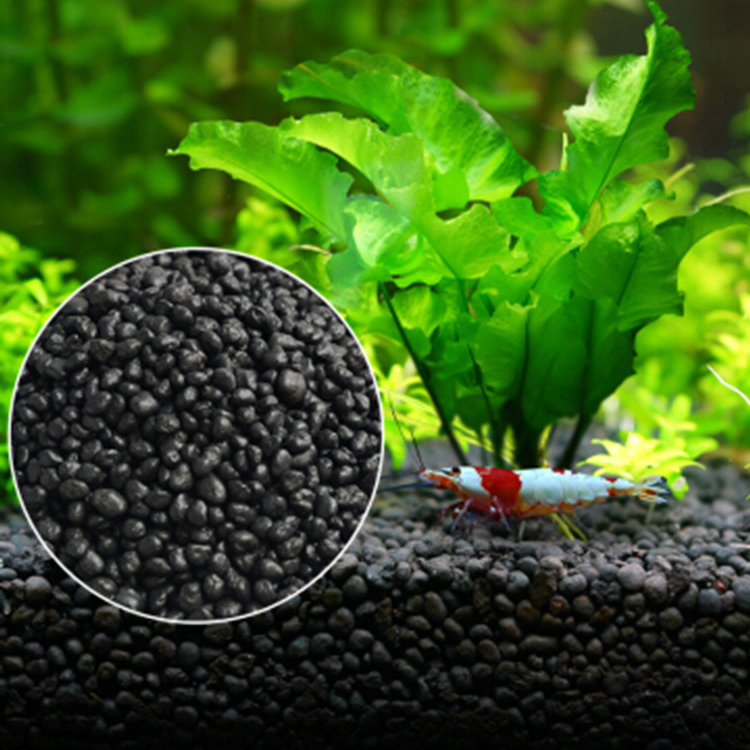 Aquarium Plant Seeds Soil Fish - Aquarium Fish Care ulasan dan harga
