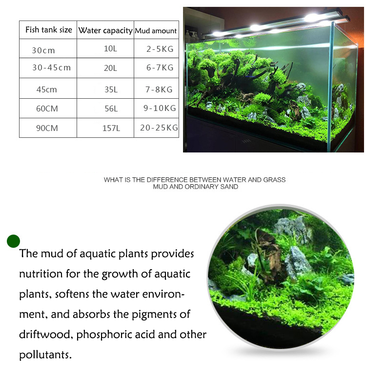 Aquarium Plant Seeds Soil Fish - Aquarium Fish Care ulasan dan harga