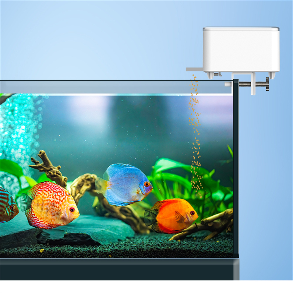 WiFi Smart Automatic Feeder Aq - Aquarium Fish Auto Feeder ulasan dan harga