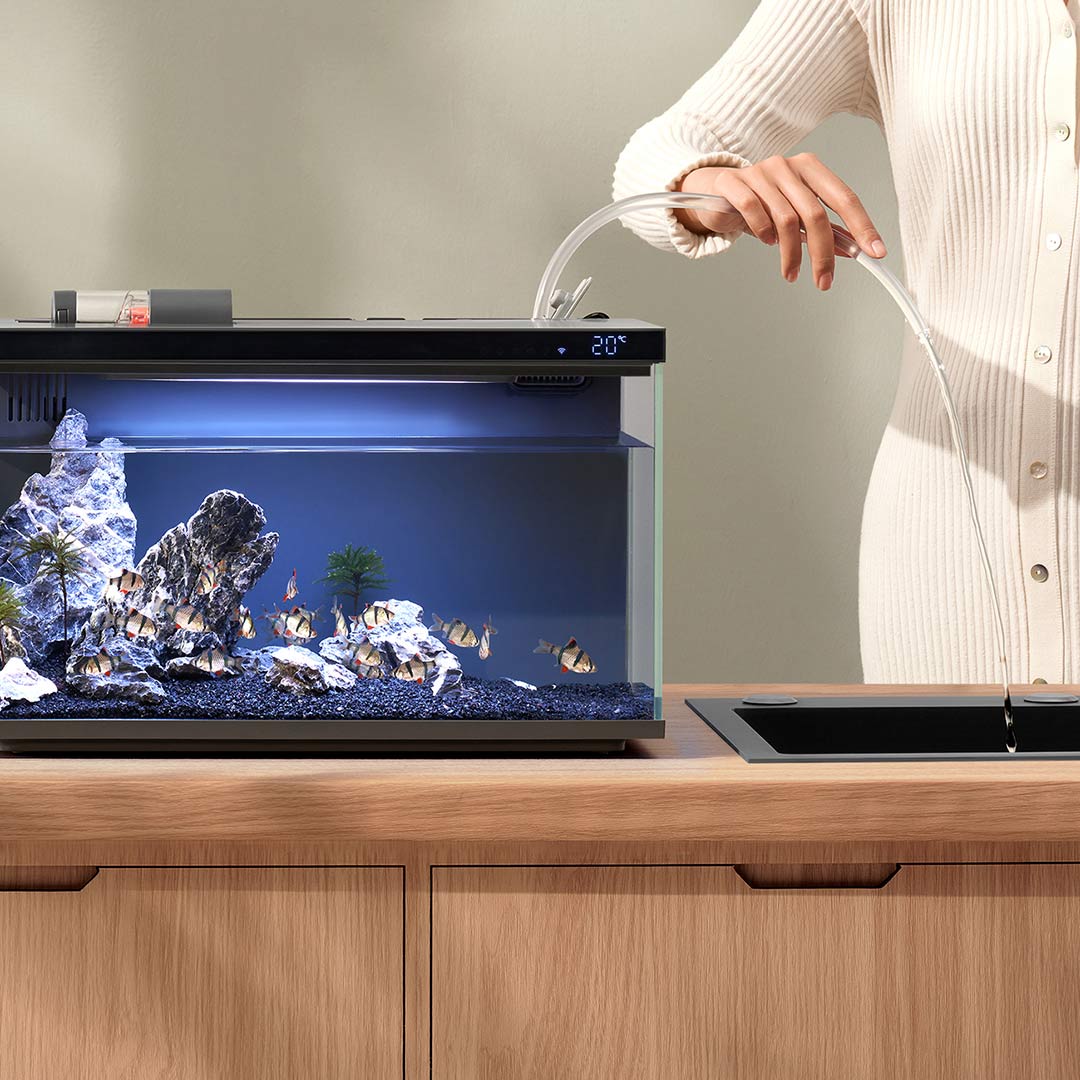 Xiaomi Mijia Smart Fish Tank M - Aquarium Fish Food ulasan dan harga