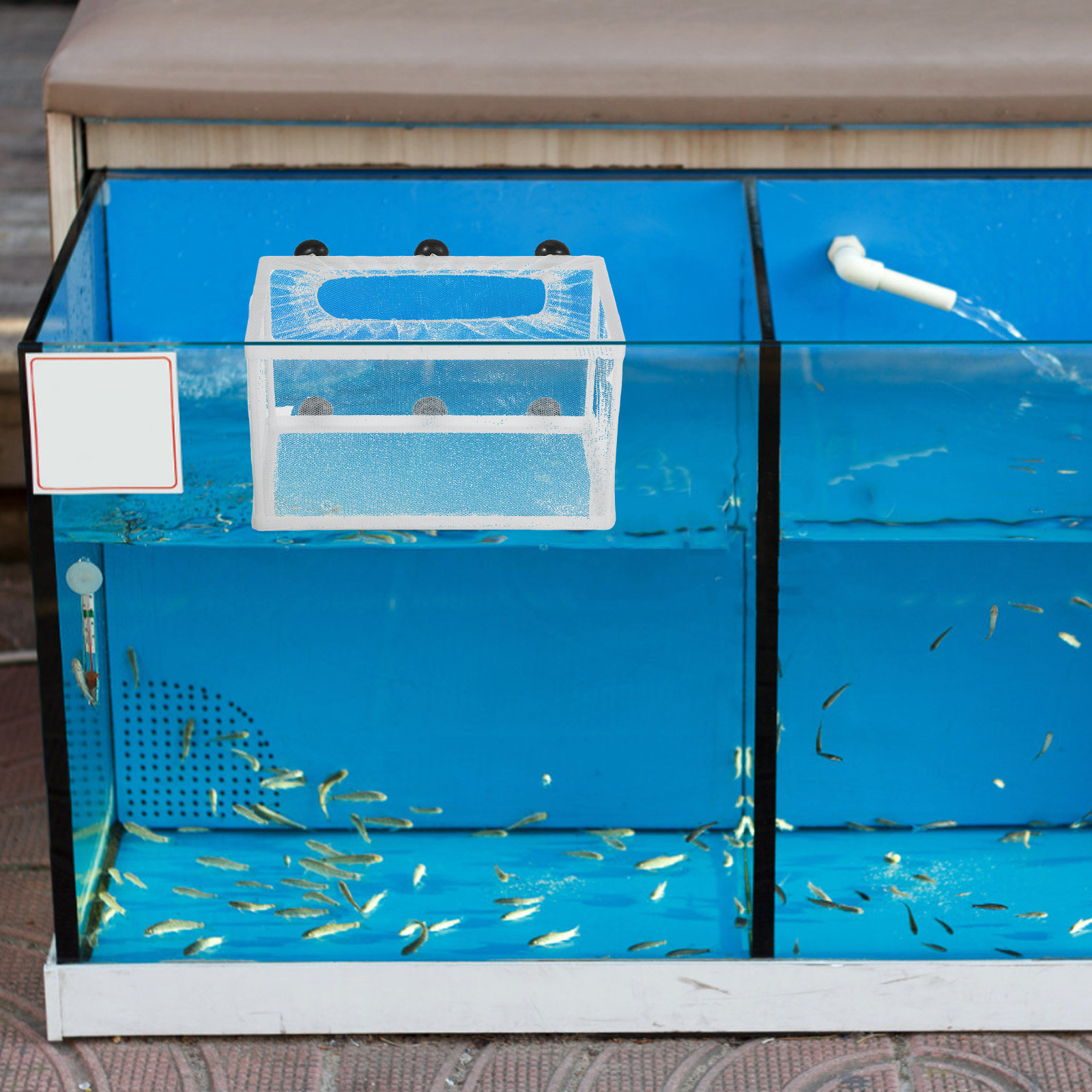 Fish Net Big Size Polyester Ha - Aquarium Fish Net Big Size ulasan dan harga