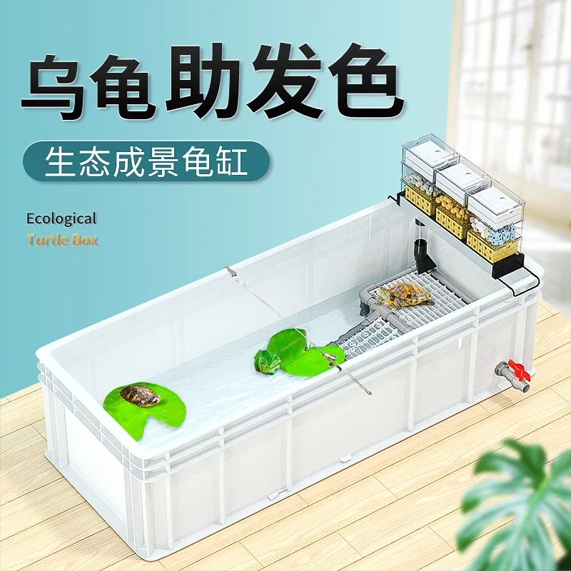 A  Turtle tank big turtle prof - Fish Co Aquarium ulasan dan harga