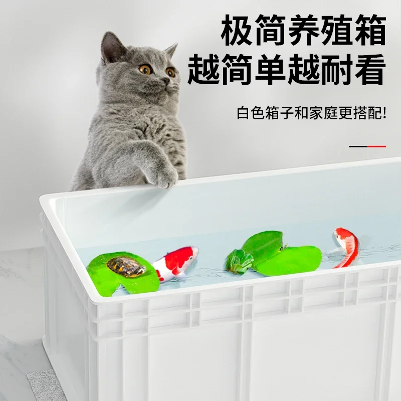A  Turtle tank big turtle prof - Fish Co Aquarium ulasan dan harga