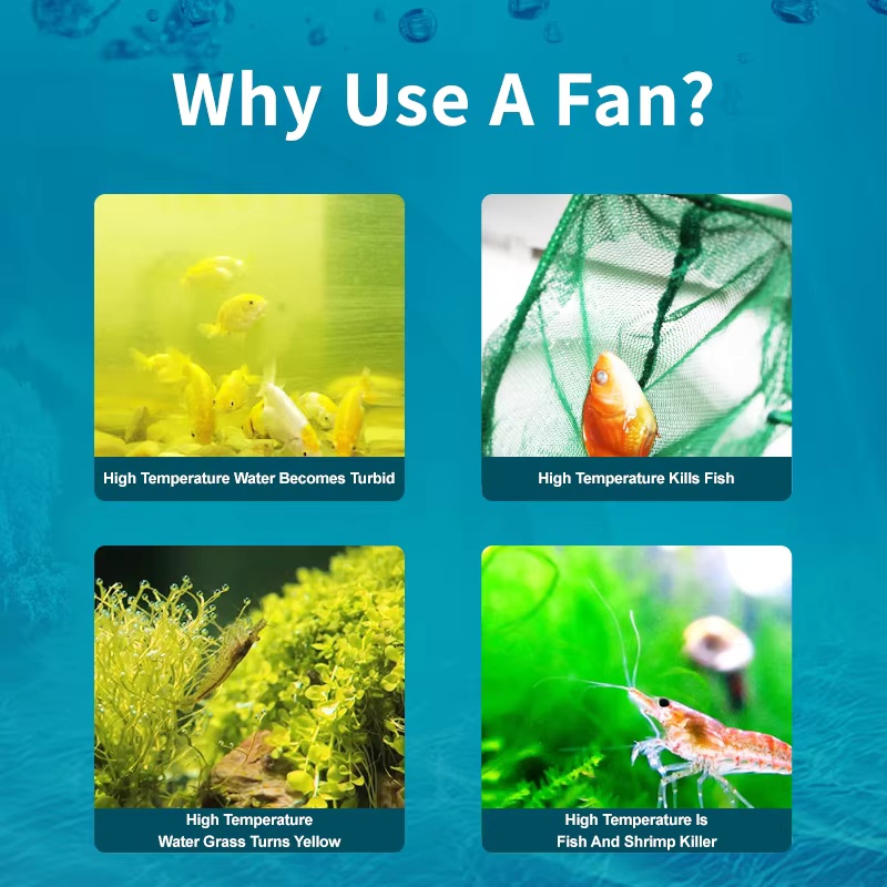 Jebao Jecod ACF Series Aquariu - Fish Co Aquarium ulasan dan harga