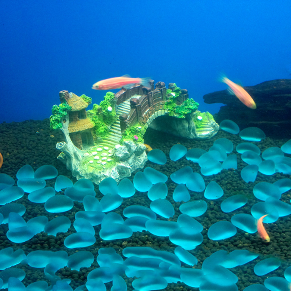 Aquarium Accessories Arbor Tre - Aquarium Fish Tank Price ulasan dan harga