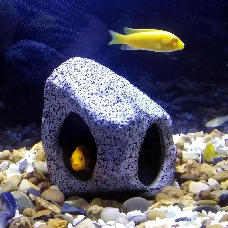 Fish Tank Cave Stone Landscapi - Aquarium Fish Tank Price ulasan dan harga