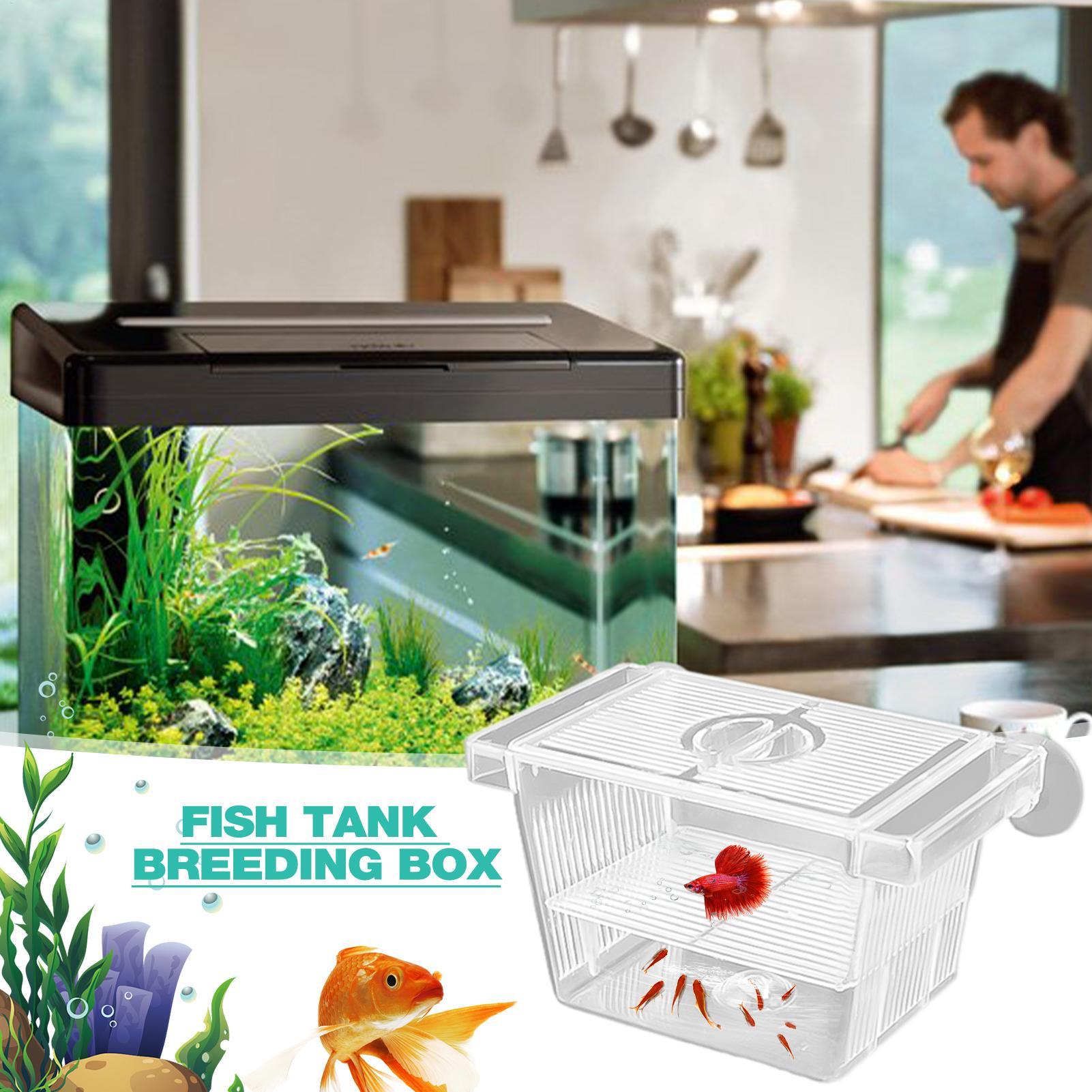 Aquarium Hatchery Acrylic Isol - Aquarium Xxl ulasan dan harga