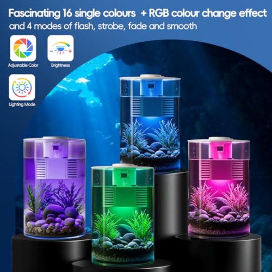 3 Gallon Self Cleaning Fish Ta - Fish Co Aquarium ulasan dan harga